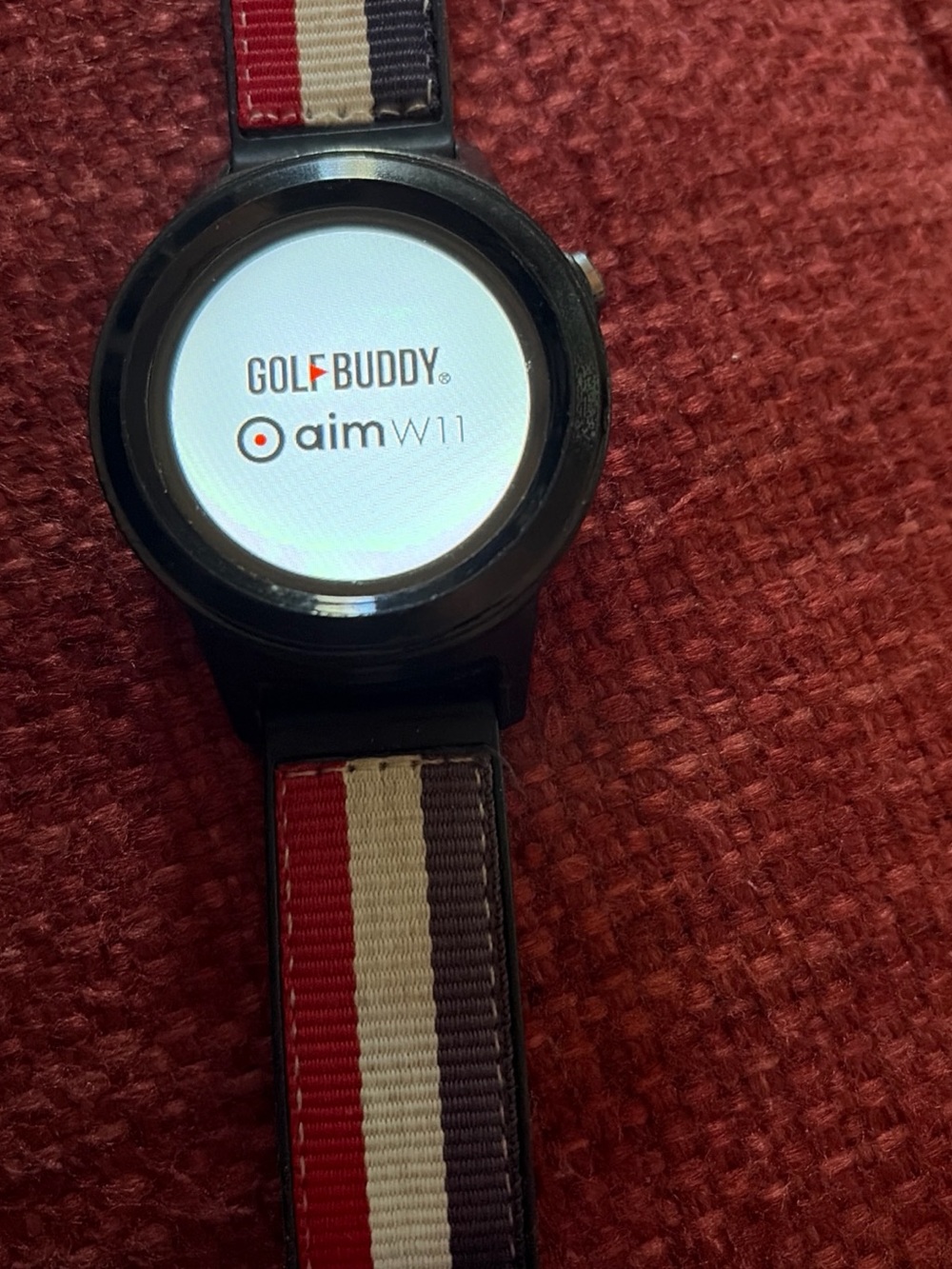 Golf Buddy Aim W11 Golf GPS Watch